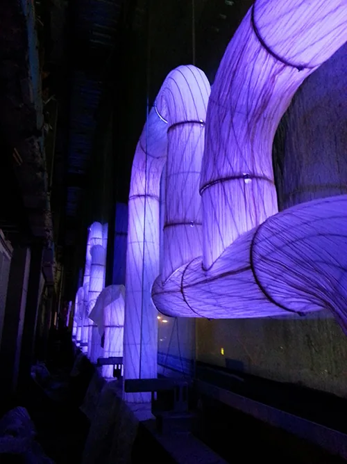 A closer look at the illuminated forms.
