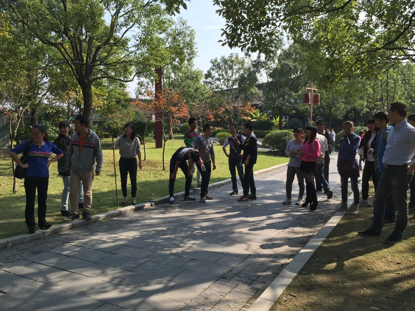 A gathering along a tree-lined path · November 2014 archive